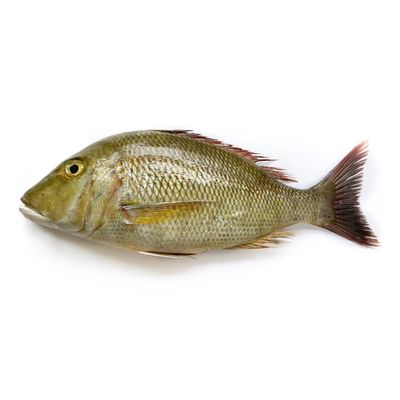 Sure Baladi Shiri Medium Fresh Fish - 300-400g