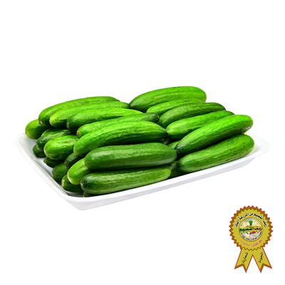 Reef Alqassim Cucumber Small Tray 900 - 1000 G