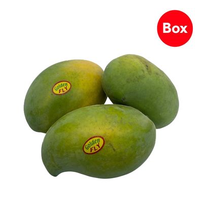 Sherbatly Mango Mabrouka Egyptian 2.5 - 2.8kg