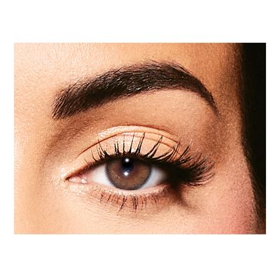 Amara Colored Contact Lenses - Walnut