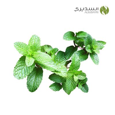نعناع حزمة