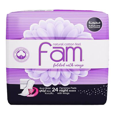 Fam Sanitary Napkin Night Folded With Wings 24 Pieces