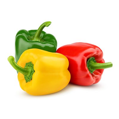 فلفل بارد مشكل 450-500 جرام