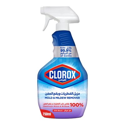 Clorox Cleanser and Antiseptic Mold & Mildew Remover 750 ML