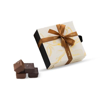 Anoosh Chocolate With Salted Caramel 4 Pieces