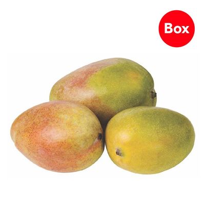 Sherbatly Mango Jasmine Egyptian 2.5 - 2.8kg