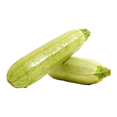 شعاع القصيم كوسا كبيرة - 500-600 جرام