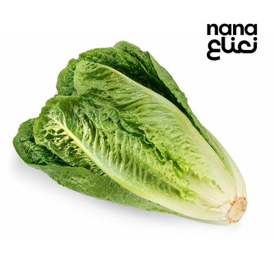 خس روماني 1 حبة