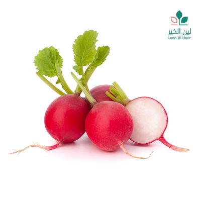 لين الخير فجل احمر
