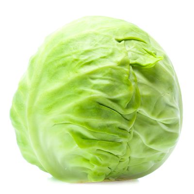 White Cabbage 1 Piece