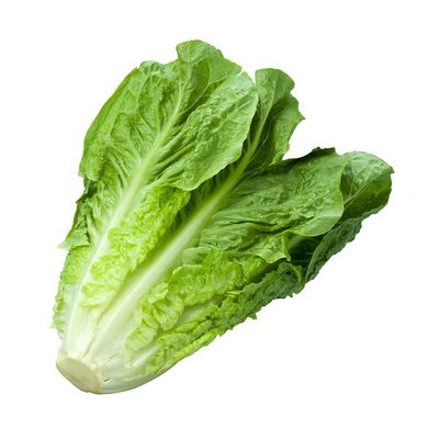 Lettuce Romaine - 1 Pack
