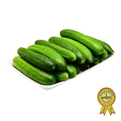 Reef Alqassim Cucumber Tray 900 - 1100 G