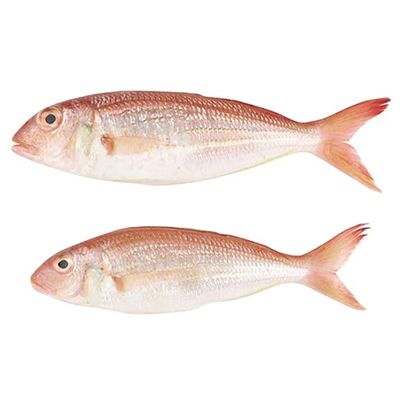 Sure Baladi Sultan Ibrahim local Fish - 250-300g