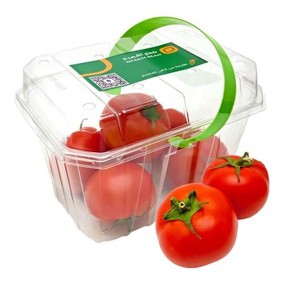 القصيم طماطم 650-750 جرام