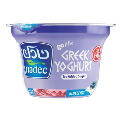 Nadec Greek Yogurt Blue Berry Low Fat 160 G