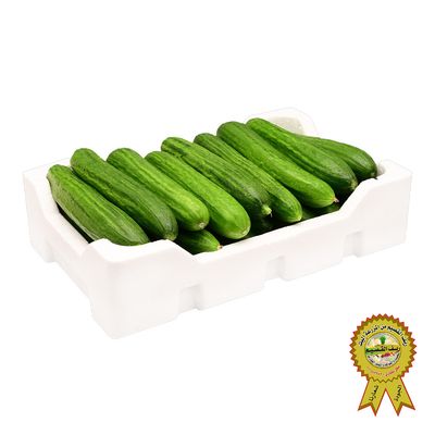 Reef Alqassim Cucumber Box 1000 - 1200 G