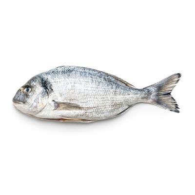 Sure Baladi Kofer Andak Fresh Fish - 250-300