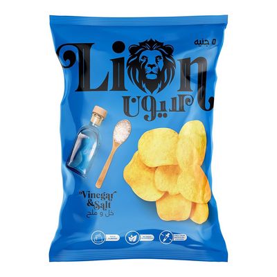 Lion Potato Chips Vinegar & Salt Flavor - 40gm