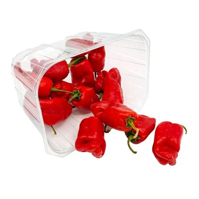 شعاع القصيم فلفل شقراء أحمر حار - 300-400 جرام