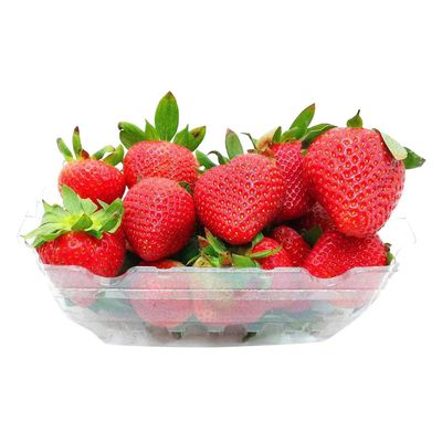 Driscoll's Strawberry 454 G