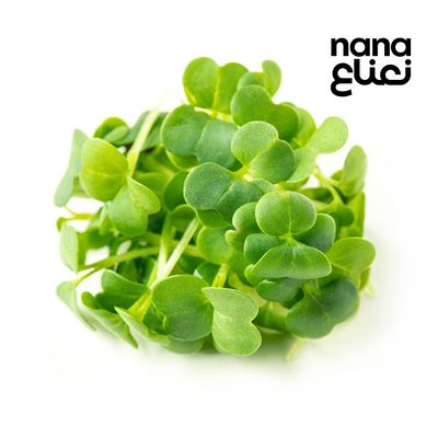 رجلة ربطة