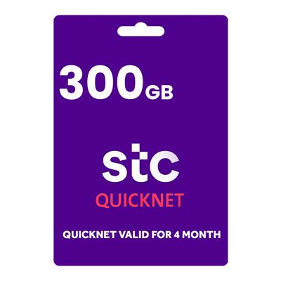 QuickNet 300 GB 4 Months