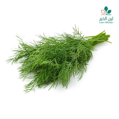 لين الخير شبت