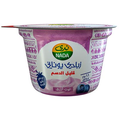ندى زبادي يوناني توت أزرق قليل الدسم 160 جرام