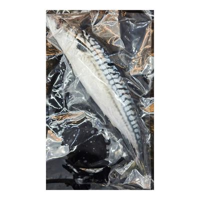 Sure Baladi Mackerel Russian Size Big - 500-600g