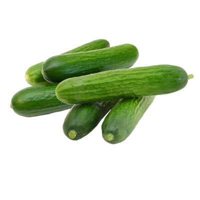 Sharbatly Cucumber - 500g