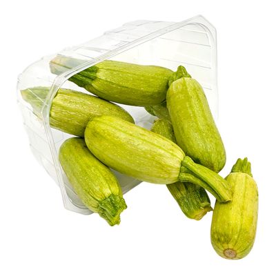 شعاع القصيم كوسا كبيرة - 500-600 جرام