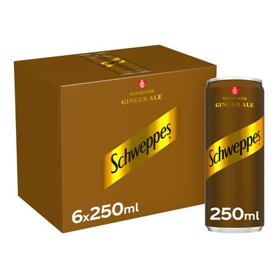 Schweppes Soft Drink Ginger Ale Flavor 250 ML × 6