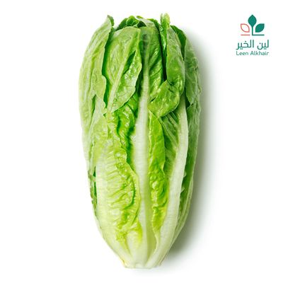 لين الخير خس روماني 500 جرام
