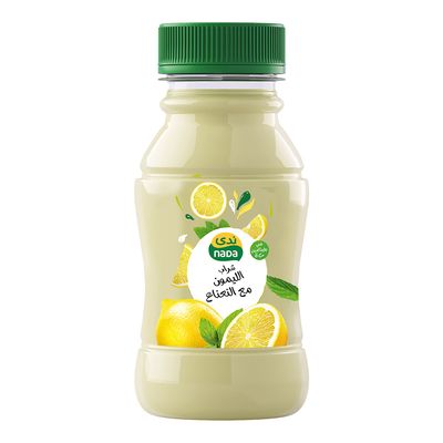 Nada Juice Lemon and Mint With Pulp 200 ML