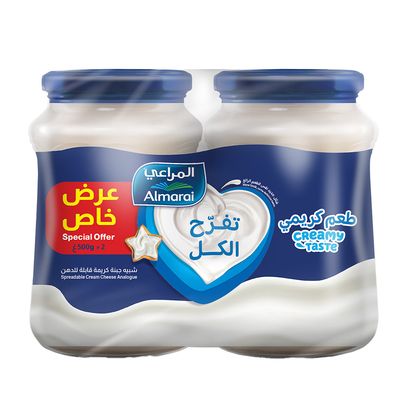 مراعي شبيه جبن بطعم الكريمة ألذ قابلة للدهن 500 جرام × 2