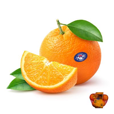 Sharbatly Orange Valencias 1 KG