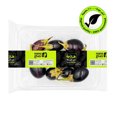 Eggplant Small 450-500 G