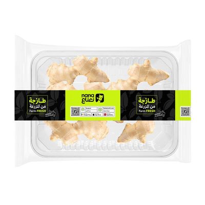 Ginger China 475-500g