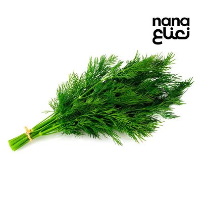  شبت ربطة