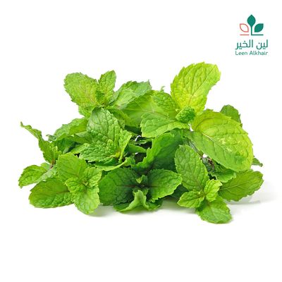 لين الخير نعناع